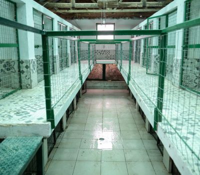 Qendra e re për trajtimin dhe akomodimin e qenve endacakë