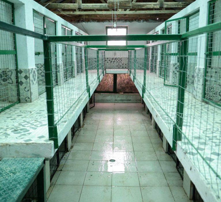 Qendra e re për trajtimin dhe akomodimin e qenve endacakë