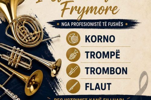 Kurse të instrumenteve frymore për të rinjtë